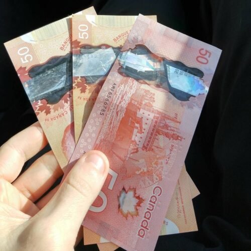 50 CAD BILLS photo review