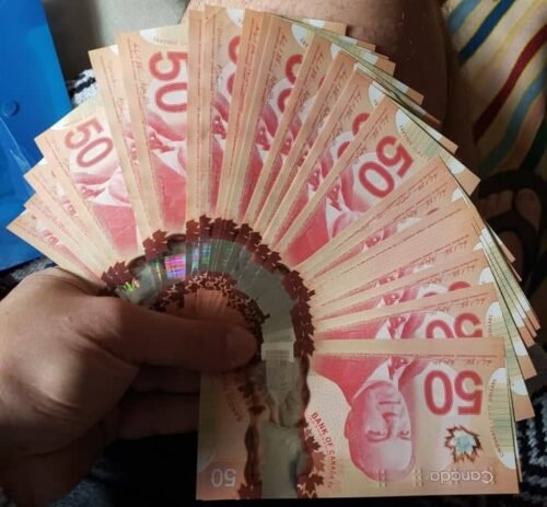 50 CAD BILLS photo review